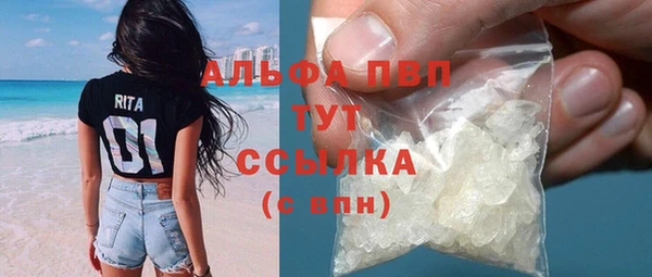 крисы Баксан