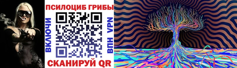 Псилоцибиновые грибы GOLDEN TEACHER  цена   Новоржев 