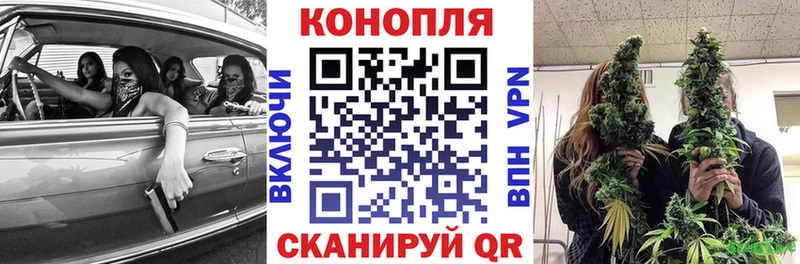 Шишки марихуана сатива Новоржев